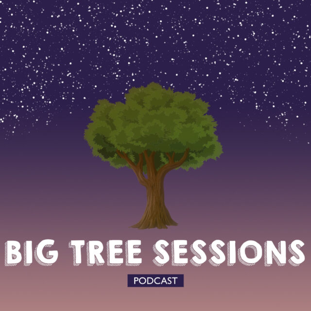 The Big Tree Sessions