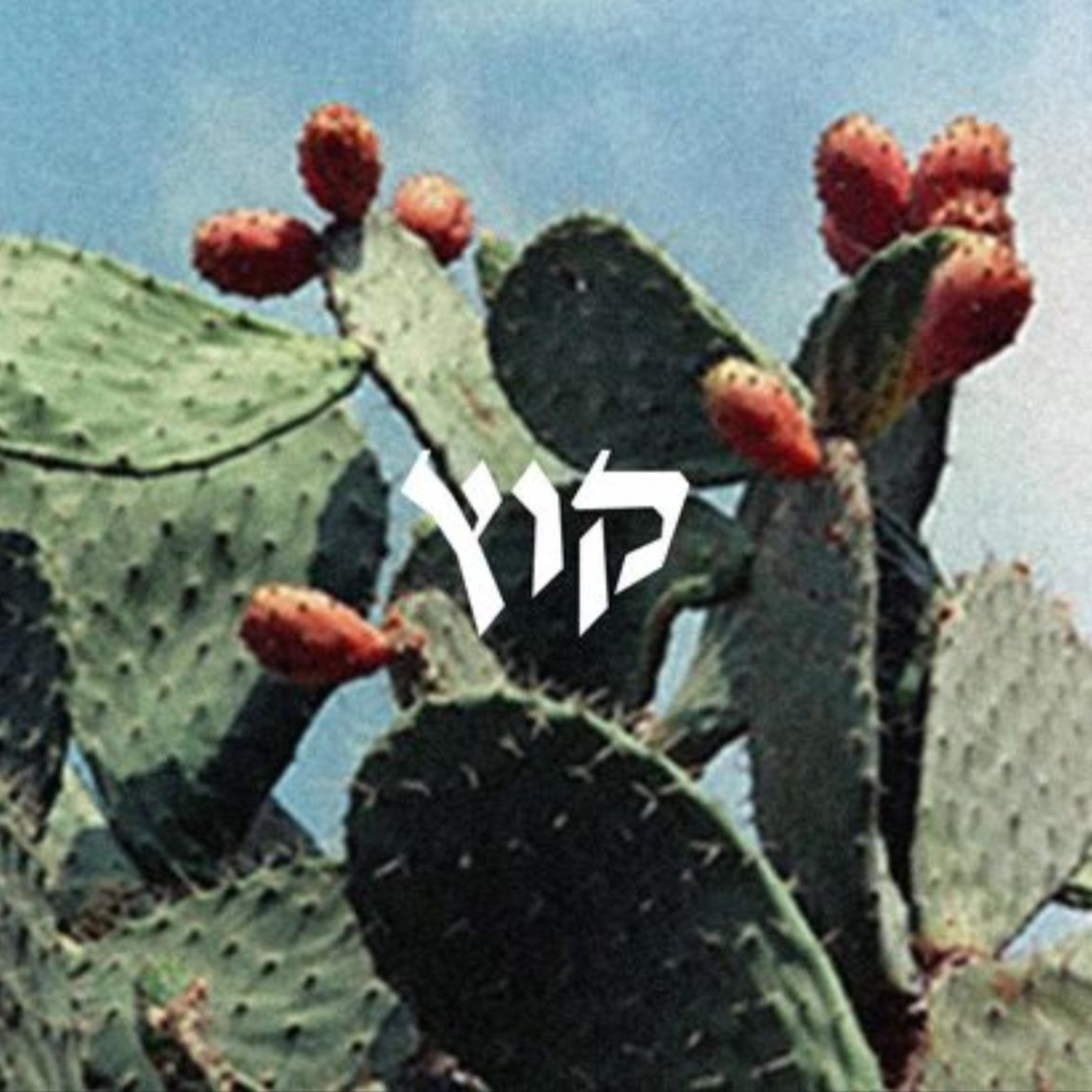 קוץ- דמוקרטיה, ישראליות ותרבות.